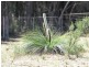 Coonabarabran NSW 2357