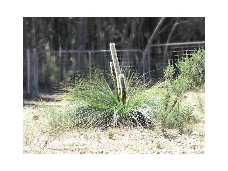 Coonabarabran NSW 2357
