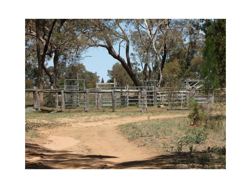 Coonabarabran NSW 2357