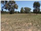 Coonabarabran NSW 2357