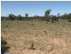 Coonabarabran NSW 2357