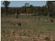 Coonabarabran NSW 2357