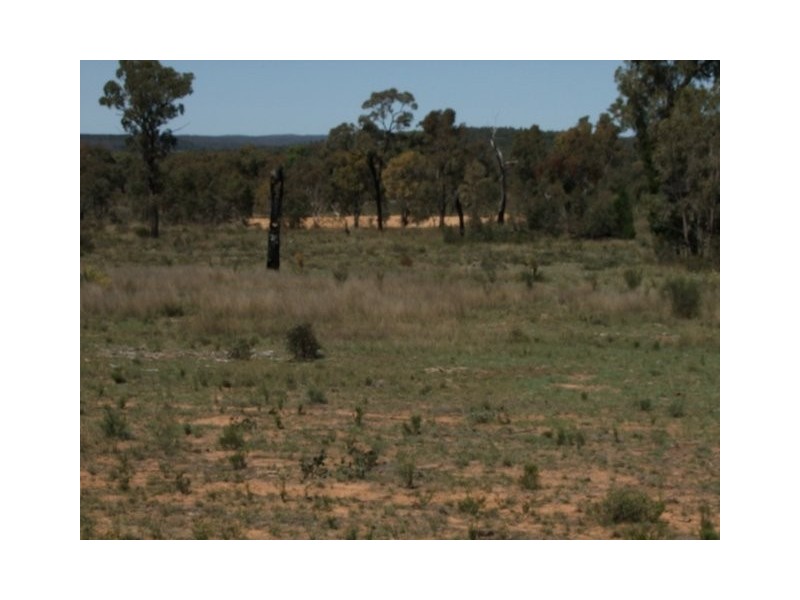 Coonabarabran NSW 2357