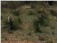 Coonabarabran NSW 2357