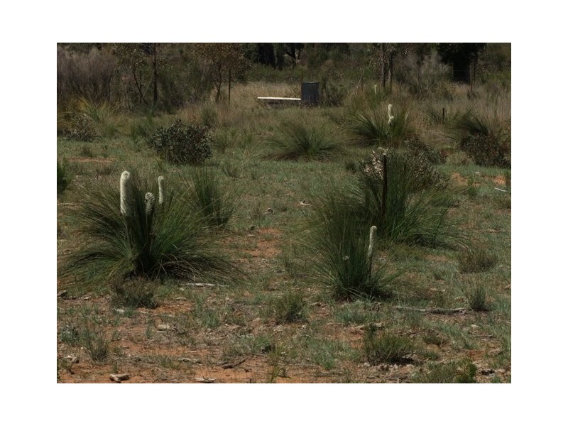 Coonabarabran NSW 2357