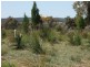 Coonabarabran NSW 2357