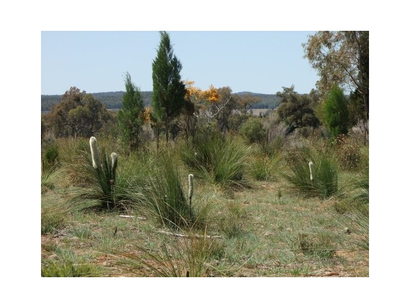 Coonabarabran NSW 2357