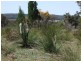 Coonabarabran NSW 2357
