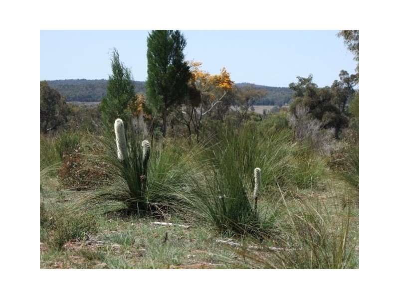 Coonabarabran NSW 2357