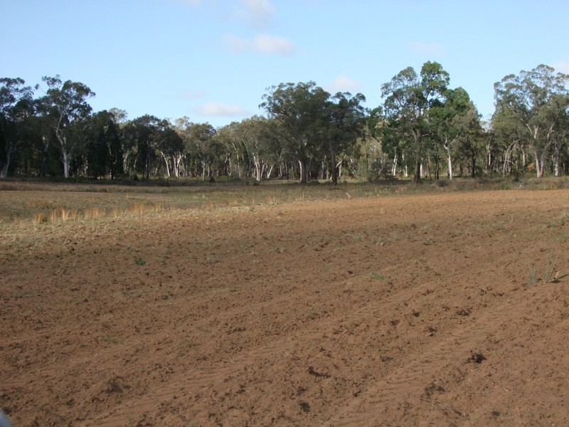 646 “Trevara” River Road, Coonabarabran NSW 2357