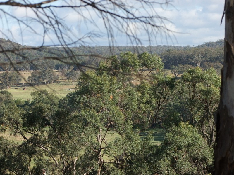 646 “Trevara” River Road, Coonabarabran NSW 2357