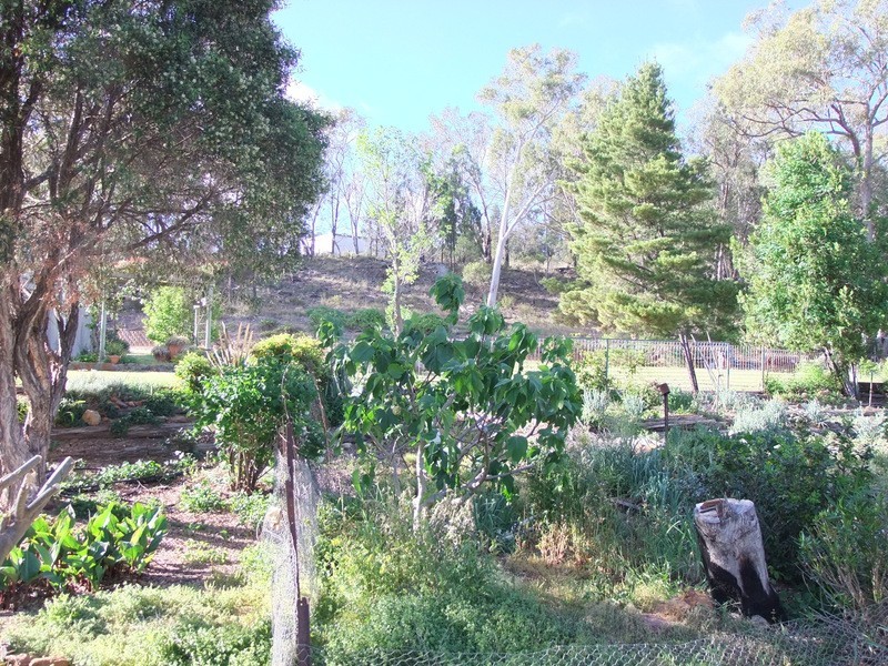 646 “Trevara” River Road, Coonabarabran NSW 2357