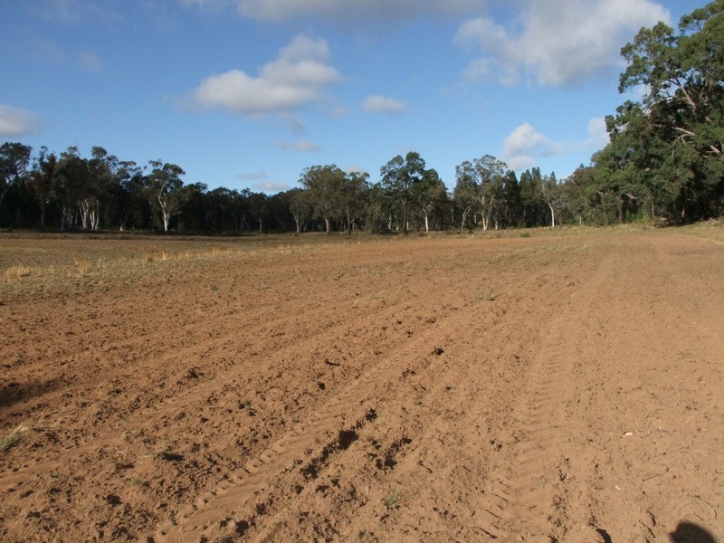 646 “Trevara” River Road, Coonabarabran NSW 2357