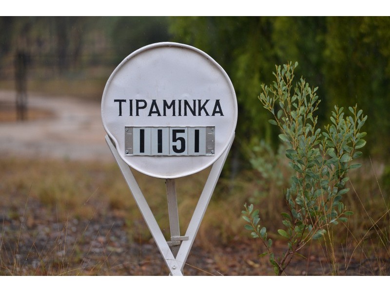 Tipaminka Brooks Road, Binnaway NSW 2395