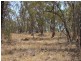 Bald Hill Newell Highway, Coonabarabran NSW 2357