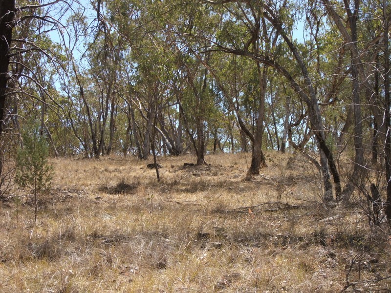 Bald Hill Newell Highway, Coonabarabran NSW 2357