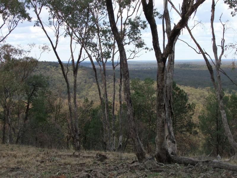 Bald Hill Newell Highway, Coonabarabran NSW 2357