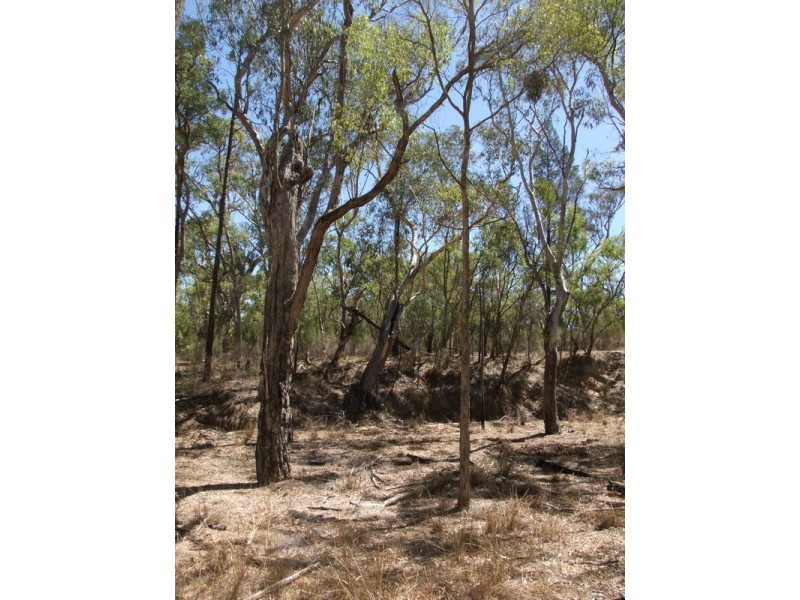 Bald Hill Newell Highway, Coonabarabran NSW 2357