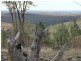 Bald Hill Newell Highway, Coonabarabran NSW 2357
