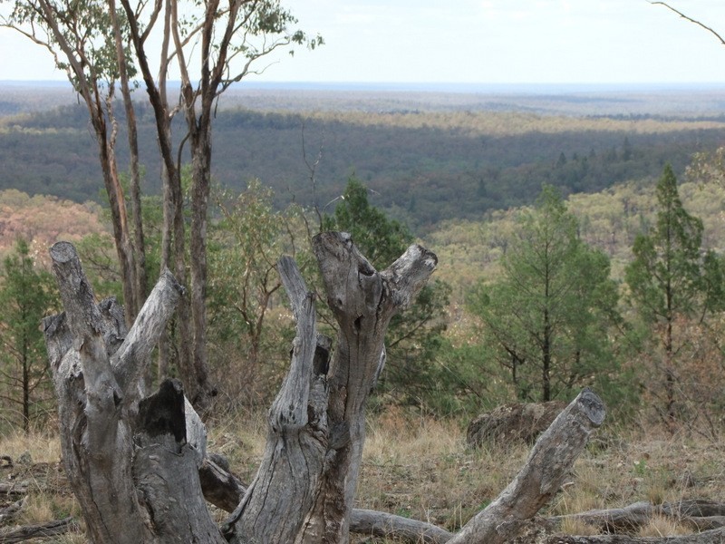 Bald Hill Newell Highway, Coonabarabran NSW 2357