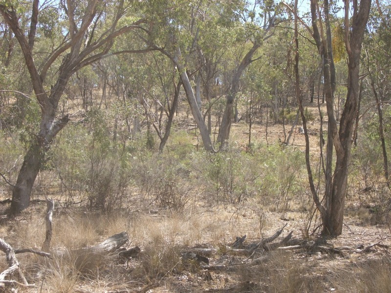 Bald Hill Newell Highway, Coonabarabran NSW 2357