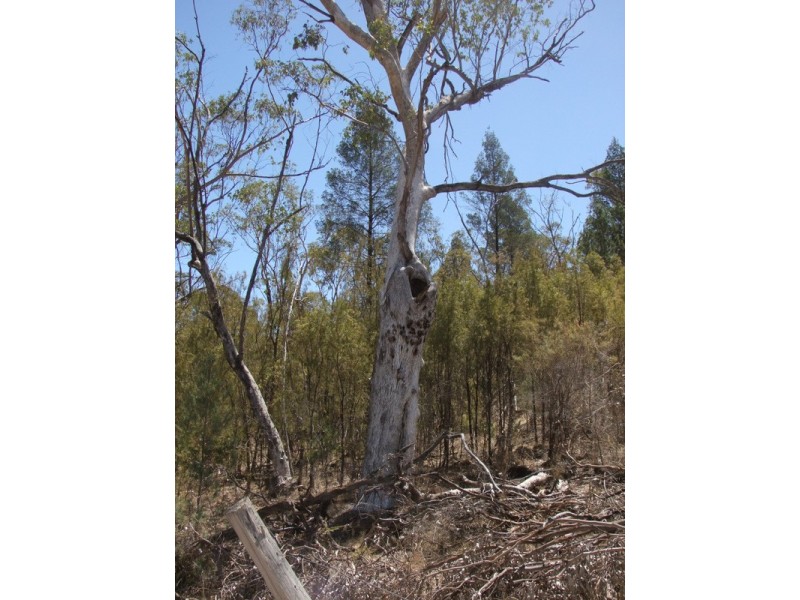 Bald Hill Newell Highway, Coonabarabran NSW 2357