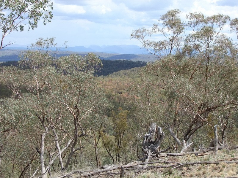 Bald Hill Newell Highway, Coonabarabran NSW 2357