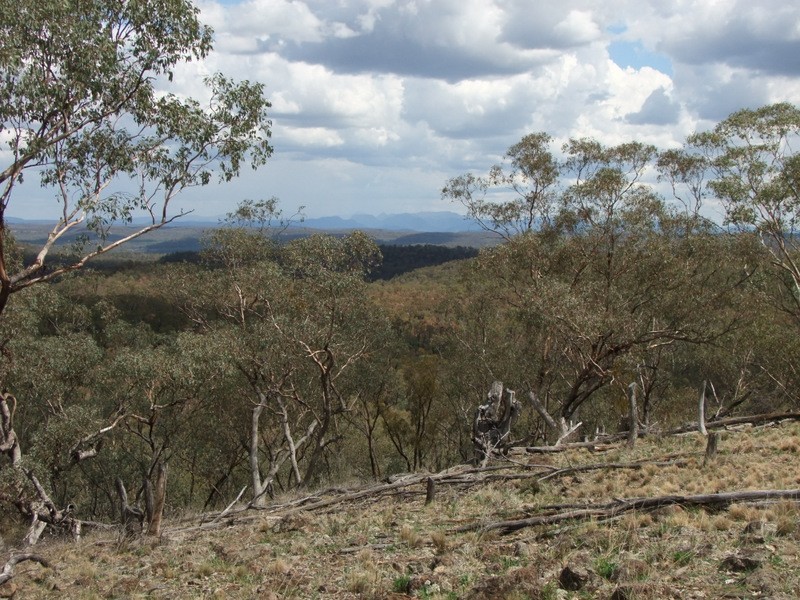 Bald Hill Newell Highway, Coonabarabran NSW 2357
