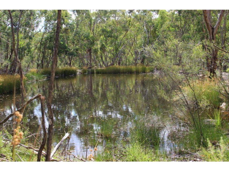 Narrawa 1464 Dandry Road, Coonabarabran NSW 2357