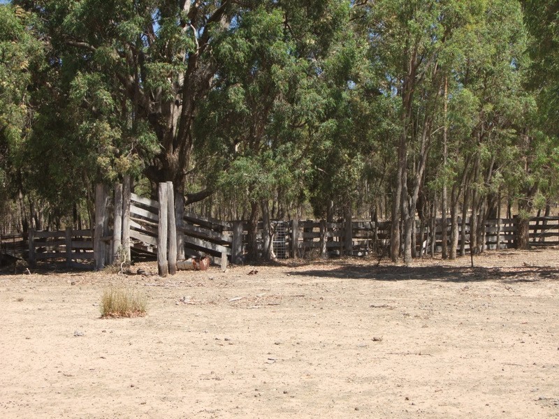 Narrawa 1464 Dandry Road, Coonabarabran NSW 2357