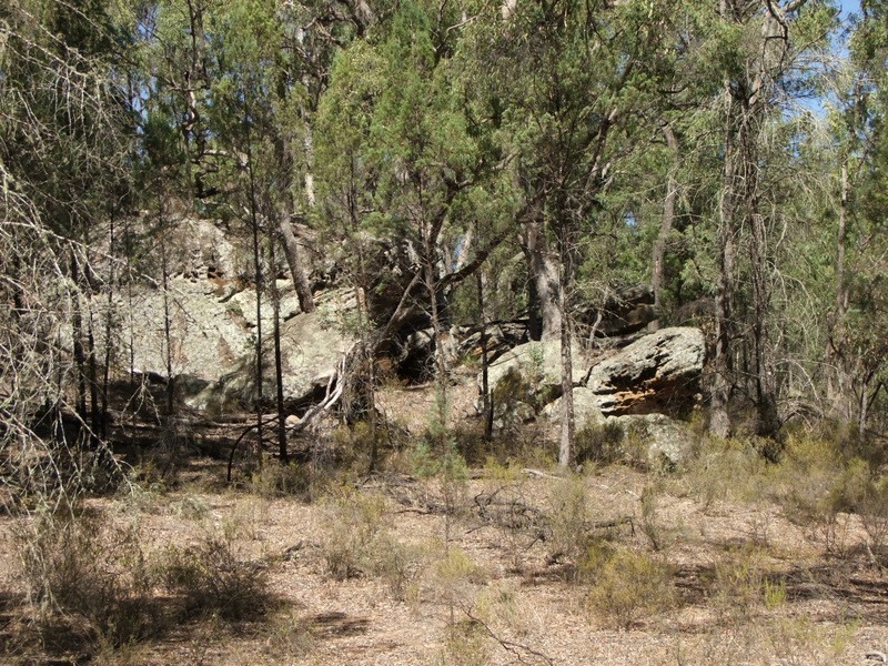 Narrawa 1464 Dandry Road, Coonabarabran NSW 2357