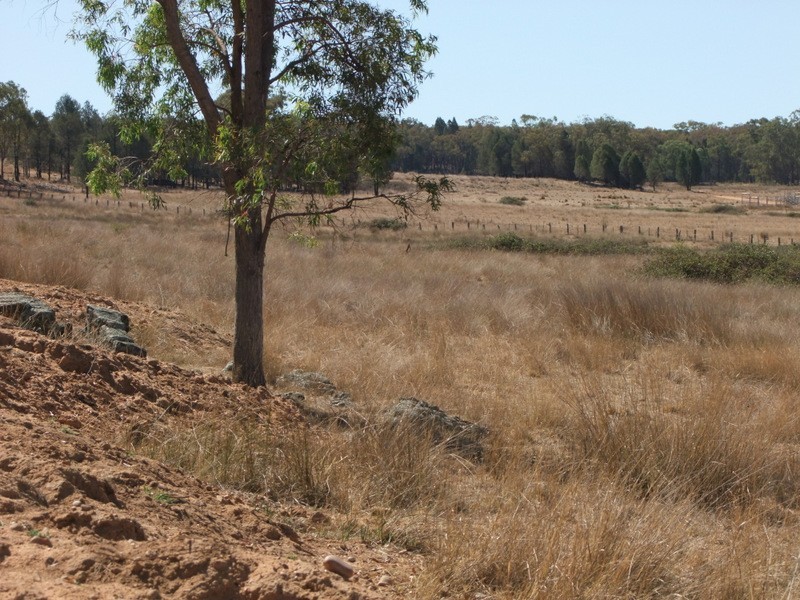 1 Stoney Point Road, Coonabarabran NSW 2357