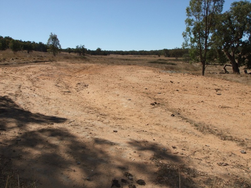 1 Stoney Point Road, Coonabarabran NSW 2357