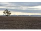 Mullaley NSW 2379