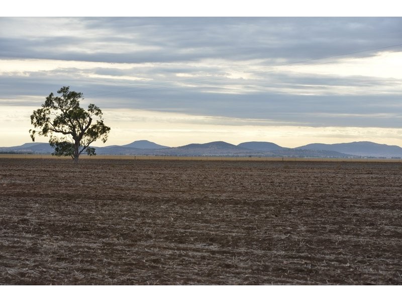 Mullaley NSW 2379