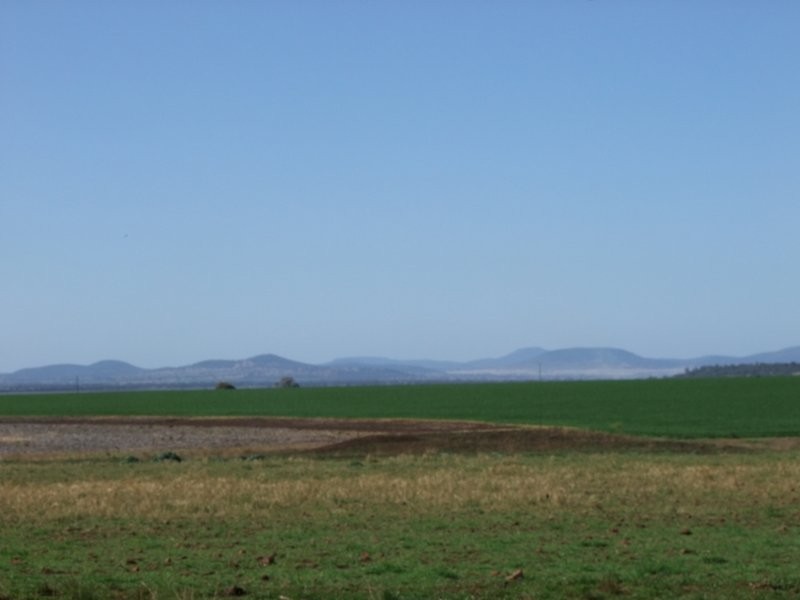 Mullaley NSW 2379