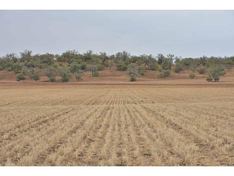 Mullaley NSW 2379