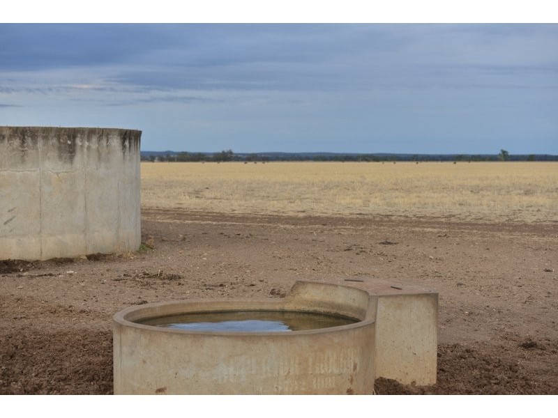 Mullaley NSW 2379