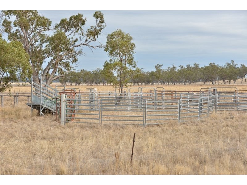 Mullaley NSW 2379