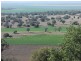 Mullaley NSW 2379