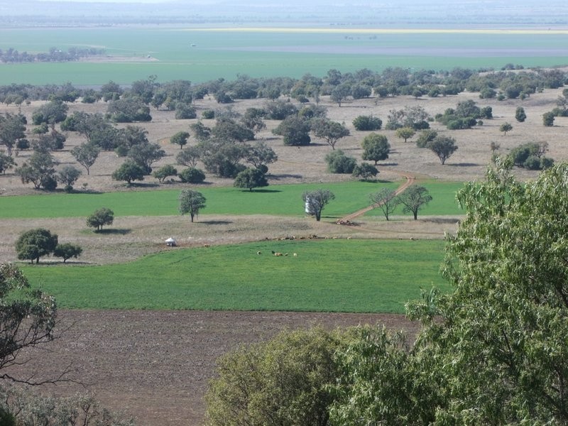 Mullaley NSW 2379