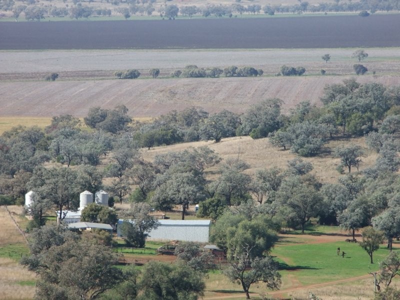Mullaley NSW 2379