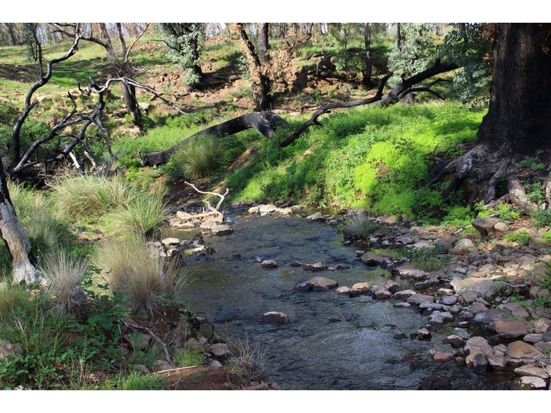 . Lumeah, Coonabarabran NSW 2357