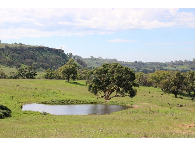 . Lumeah, Coonabarabran NSW 2357