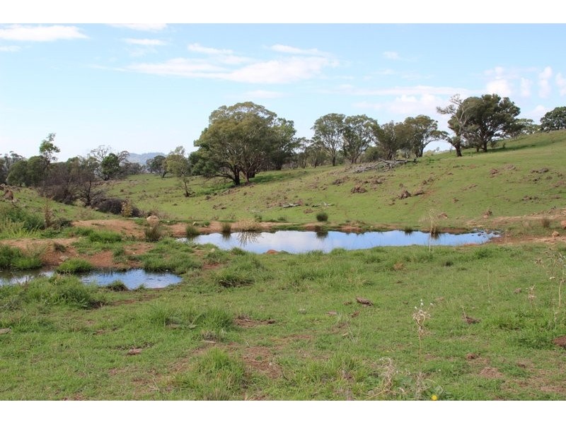 . Lumeah, Coonabarabran NSW 2357