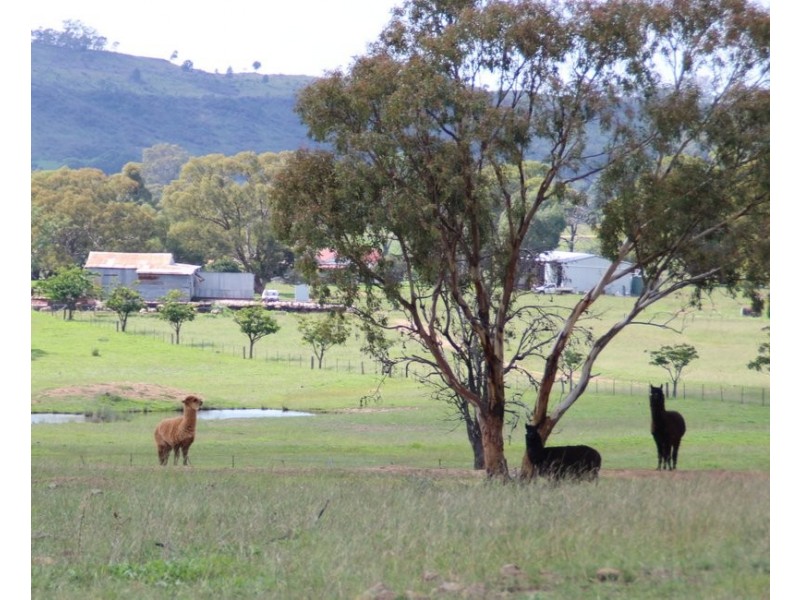 . Lumeah, Coonabarabran NSW 2357