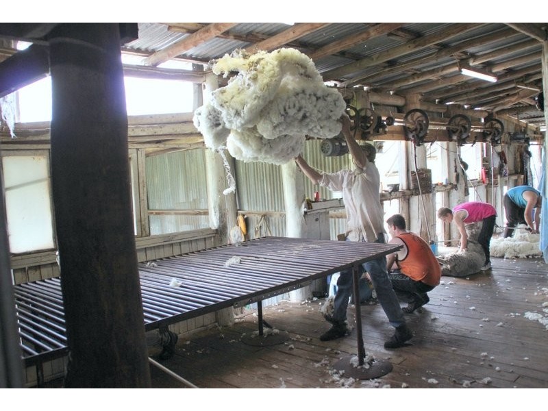 . Lumeah, Coonabarabran NSW 2357