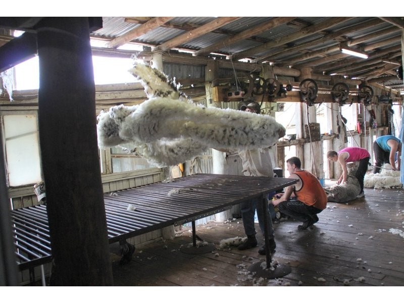 . Lumeah, Coonabarabran NSW 2357