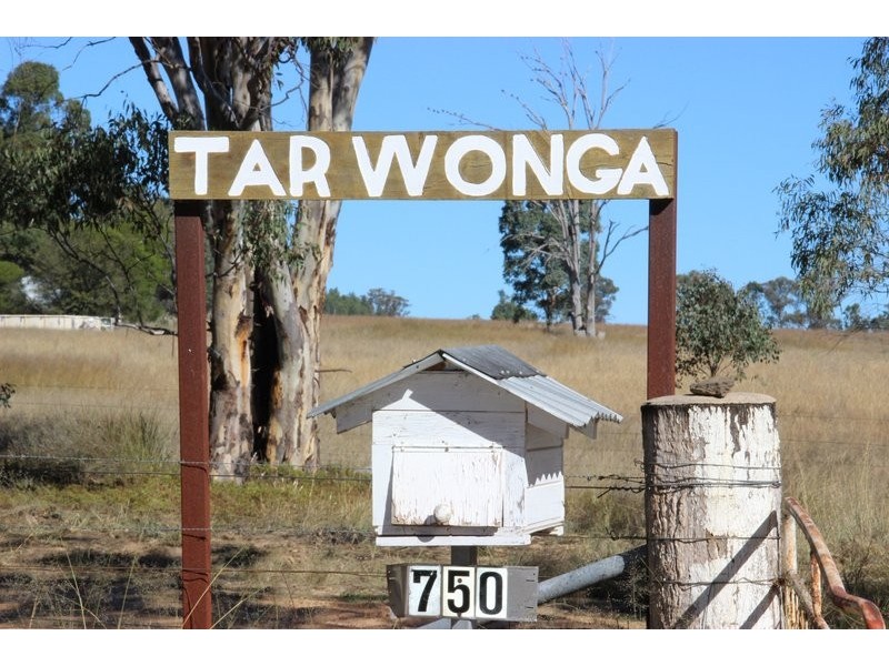 TARWONGA River Road, Coonabarabran NSW 2357