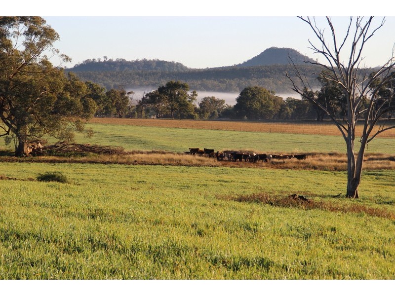 TARWONGA River Road, Coonabarabran NSW 2357